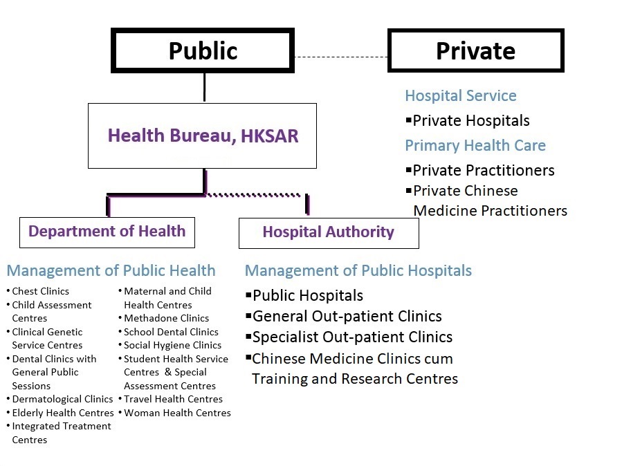 Overall structure of the healthcare system